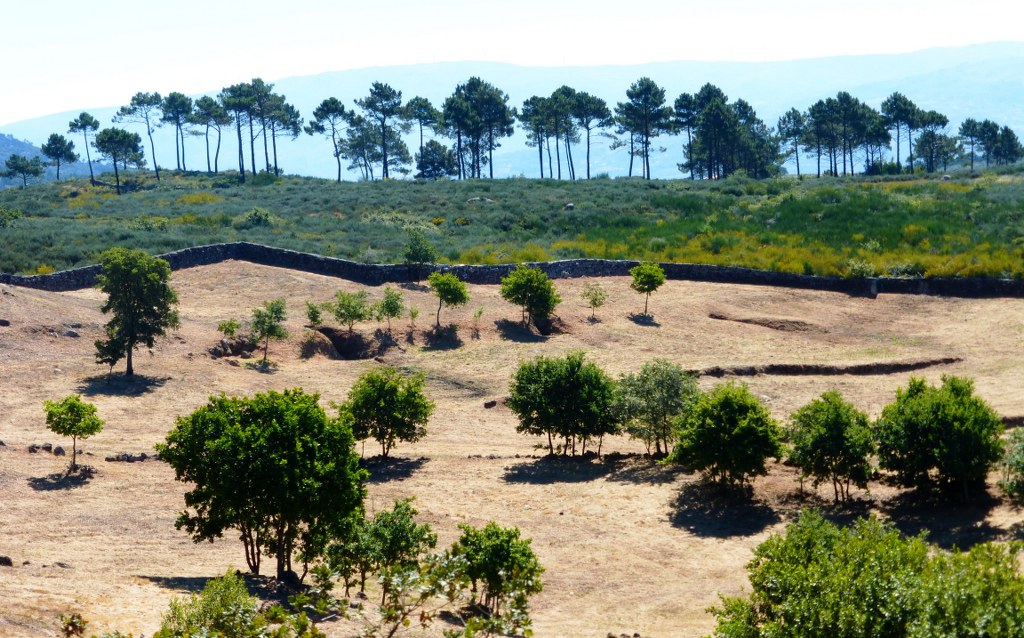 Farm